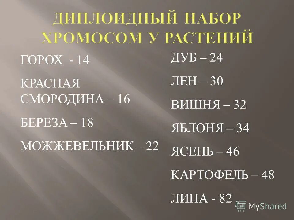 Вишня сколько хромосом. Хромосомы у животных таблица. Скольктхромосом у человека. Набор хромосом и днк в клетке после первого деления. Диплоидный набор хромомосом.