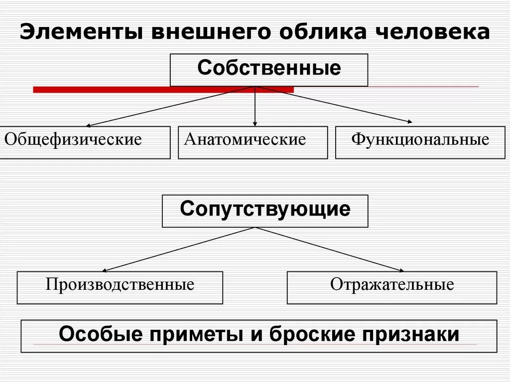 К элементам человека относят. Элементы внешнего облика. Элементы и признаки облика человека. Элементы и признаки внешнего облика человека. Функциональные элементы внешнего облика человека.