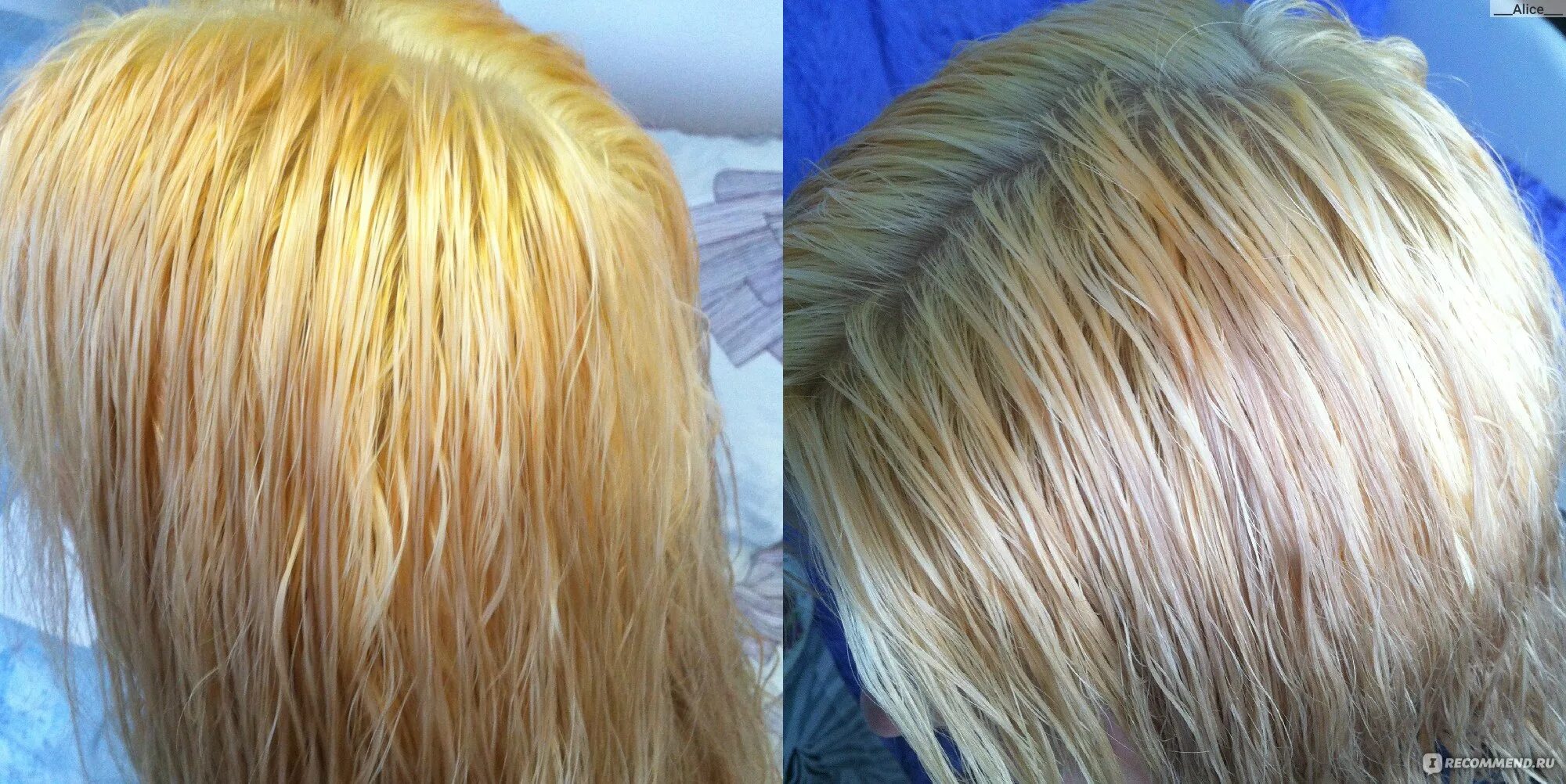 Тонировка волос оксид. Обесцвечивание супрой. Супра для осветления волос. Супра для осветления волос до и после. Эффект после обесцвечивания супрой.