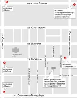 Как доехать до цирка