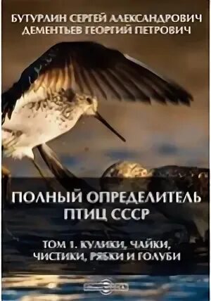 Книги полностью орел