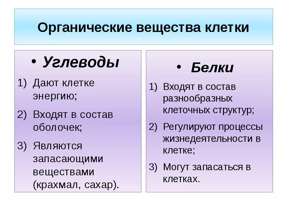 Роль органического вещества в жизнедеятельности клетки. Роль органического вещества в жизнедеятельности клетки. Роль неорганических веществ. Роль органического вещества в жизнедеятельности клетки. Функции органических веществ.