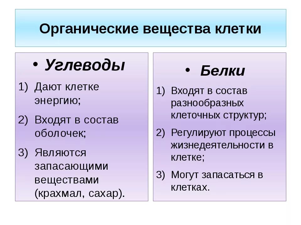 Органические и неорганические вещества биология 9 класс кратко. Органические и неорганические вещества клетки 5 класс биология. Неорганические и органические вещества клетки строение и функции.