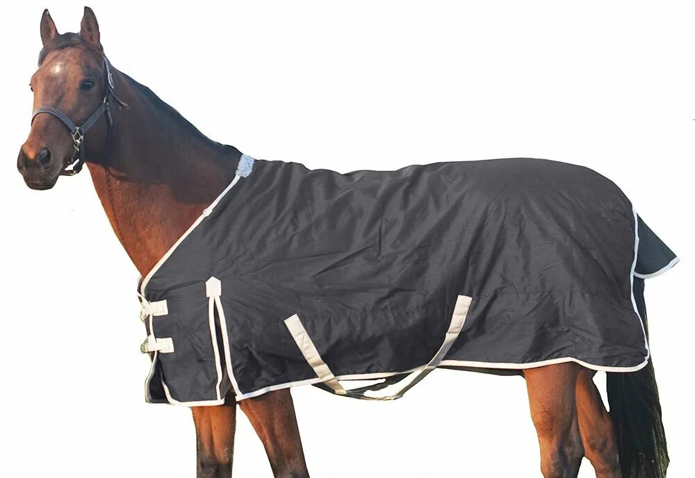 Косплей коня из покрывало. Пегая лошадь в попоне. Трок для лошади. Horse blanket. Horse blanket.