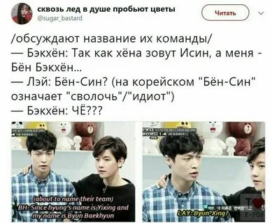 Эхо мемы