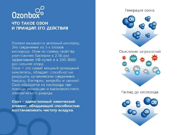 Что такое азон. Что такое азон