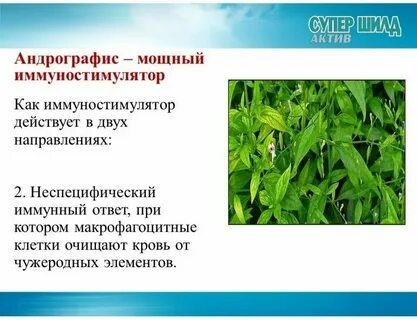 Супер шилд актив