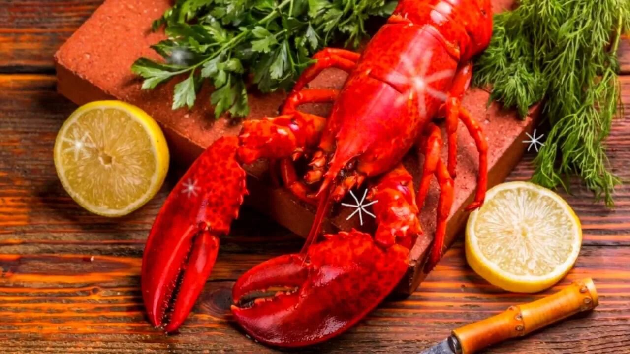 Омар еда. Морепродукты омар лангуст. лобстеры лангусты омары. омар краб лобстер лангуст. лобстер ракообразное.