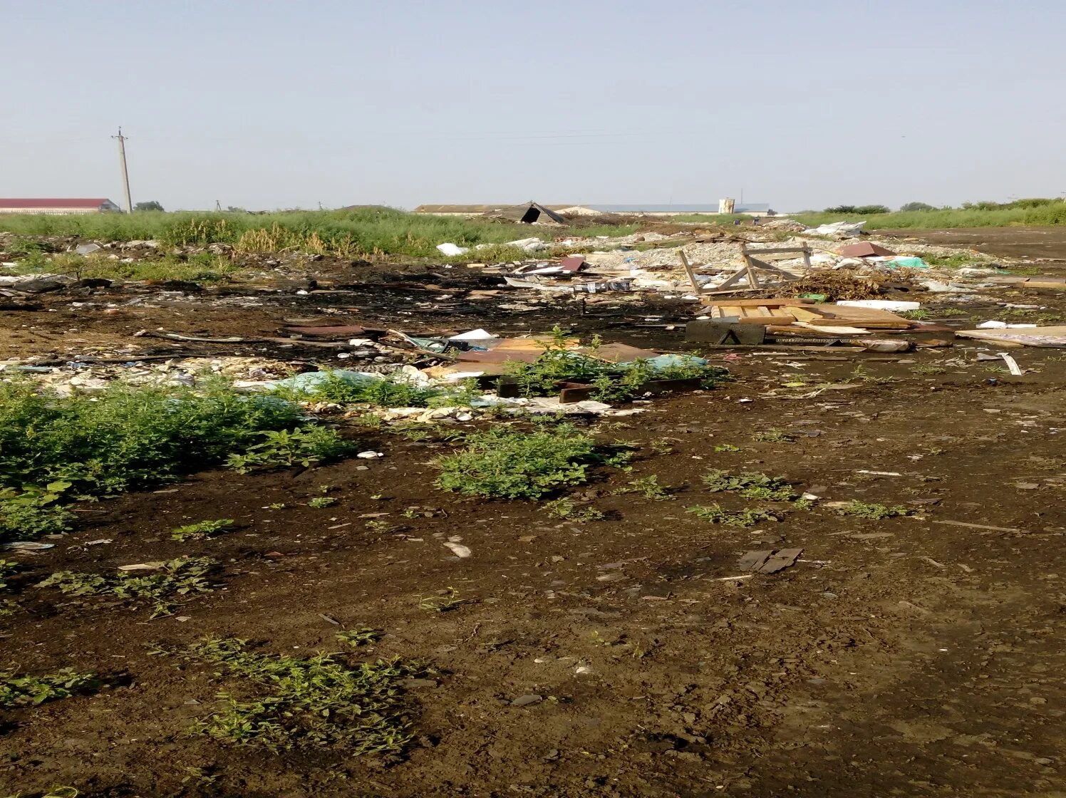 загрязнение почвы новосергиевский район. загрязнение сельскохозяйственных земель. разлив нефтепродуктов на почву. несанкционированная свалка мусора. загрязнение земель сельскохозяйственного назначения.