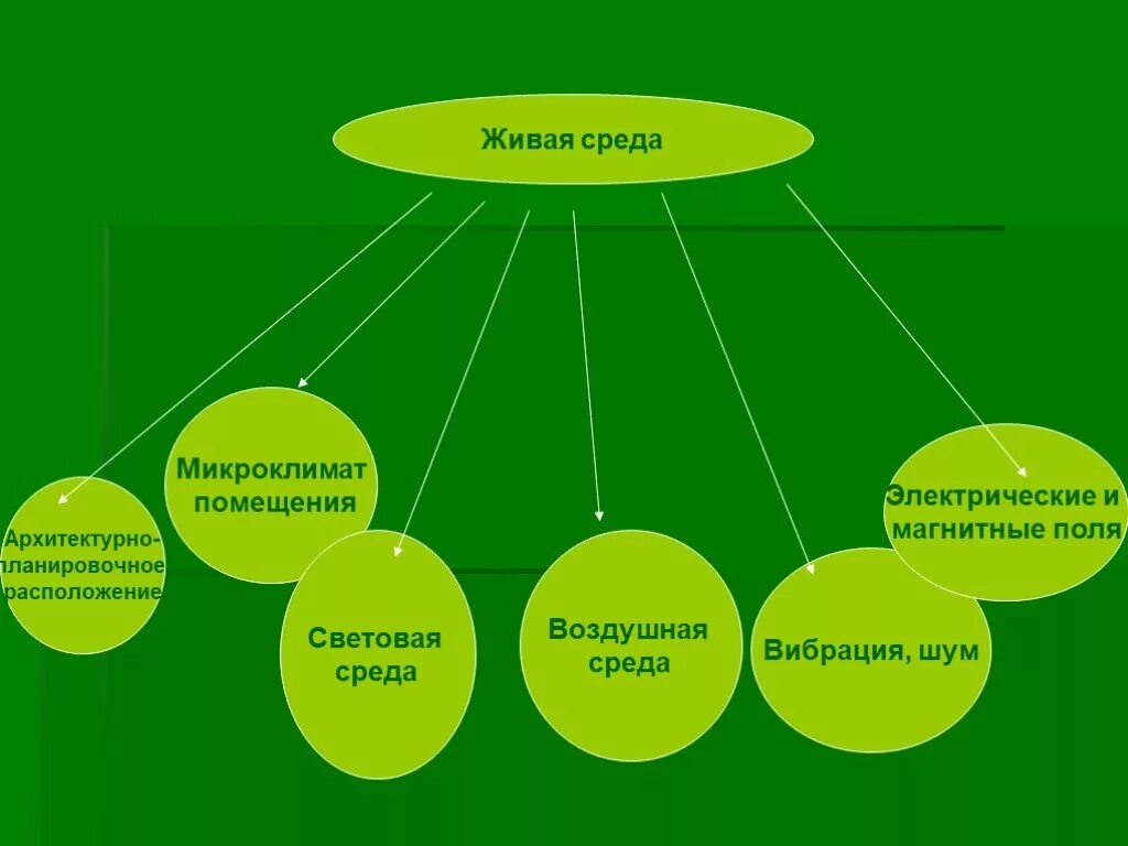 Живой окружение. Экология квартиры и ее экологическая безопасность. Экологический проект экология жилища. Научно исследовательская работа на тему экология. Экология жилья презентация.