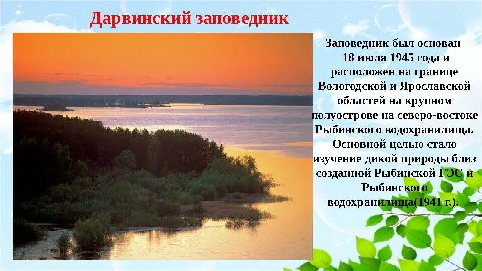 Если в твоем крае есть. Ярославль Дарвинский заповедник. Дарвинский заповедник Вологодской. Дарвинский заповедник Рыбинское водохранилище. Рассказ о заповеднике Вологодской области.