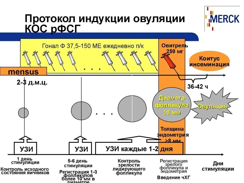 Протокол стимуляции овуляции клостилбегитом. Стимуляция овуляции протокол схема. Схема стимуляции овуляции схема. Протокол стимуляции овуляции гоналом схема. По дням коротком протоколе