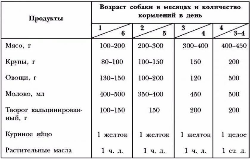 Сколько месяцев овчарка кормит щенков