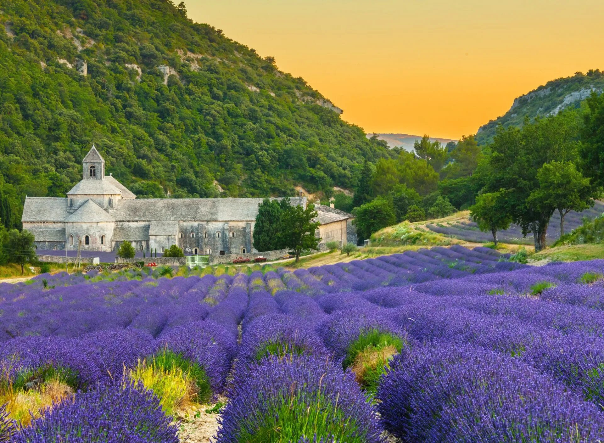 Прованс альпы лазурный берег франция. Прованс какой. Люберон на юге франции. Французский стиль кантри: прованс. Франция аббатство прованс люберон.