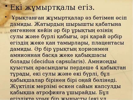 Саябақ пен дәретханадағы секс (YouTube)