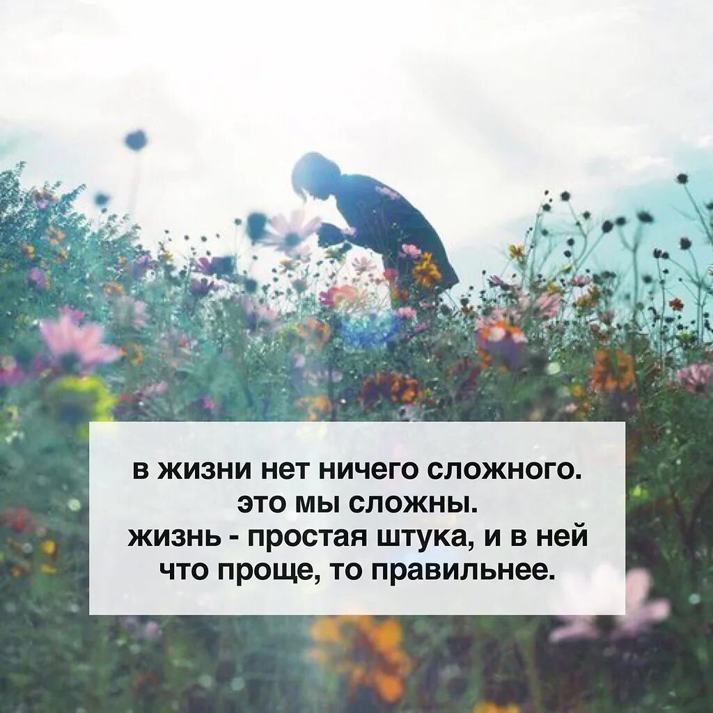 В работе руководителя нет ничего сложного