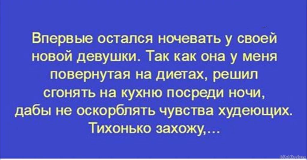 Просятся ночевать. Когда не дали одеяло. Гости смешные картинки. Акита приколы. Просятся ночевать.