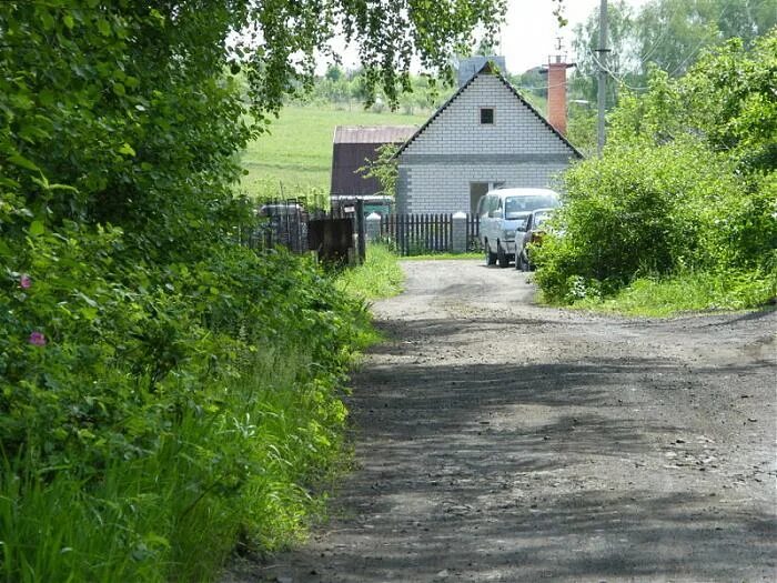 Дача в снт "березовая аллея", от выборга. Снт березовая роща ленинградская область. Снт березовая роща новосибирск. Дача в москве. Снт березовая роща ногинск.