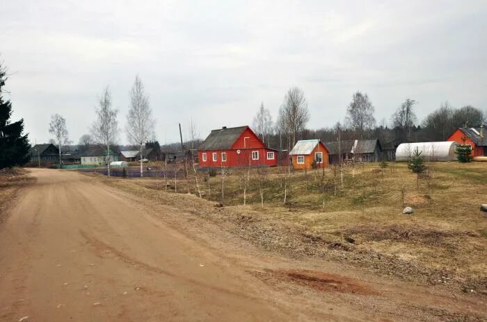 Монино псковская область погода. Вяз деревня в псковской области новосокольнический район. Монино псковская область погода. Д монино псковская область. Монино псковская область погода.