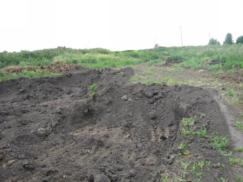 Особенности почв мордовии. Почвы республики мордовия. Луговые болотные почвы. Почвы республики мордовия. Почвенный мир мордовии.