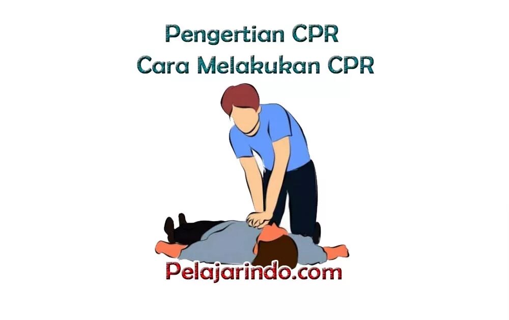 CPR маркетинг. Медвежий CPR. CPR песня.