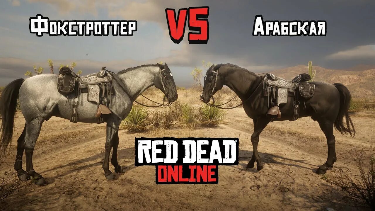 Red Dead Redemption 2 арабский скакун. Норфолкский рысак Red Dead. Red Dead 2 лошади. Фокстроттер лошадь в rdr2. Быстрая лошадь в рдр