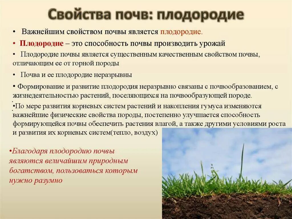 Экологическая роль почв. Характеристика плодородной почвы. Снижение плодородия почв. Оценка плодородия почв. Меры по сохранению почв.