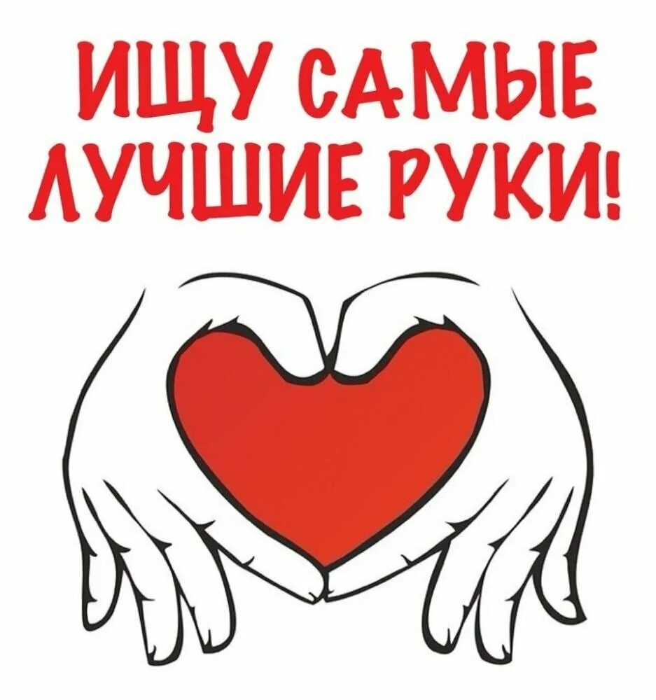 Подать в хорошие руки. Ищем добрые руки. малыши ищут дом и заботливых хозяев. в самые добрые руки. очень нужен дом и любящий хозяин.