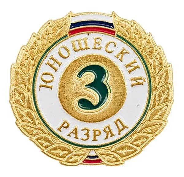 Значок 1 юношеский разряд по плаванию. Значок 2 юношеский разряд по плаванию. 2 й юношеский. 2 спортивный разряд значок. Значок 2 юношеский разряд.