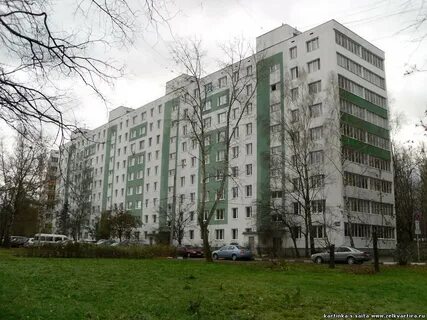 Зеленоград сосновая