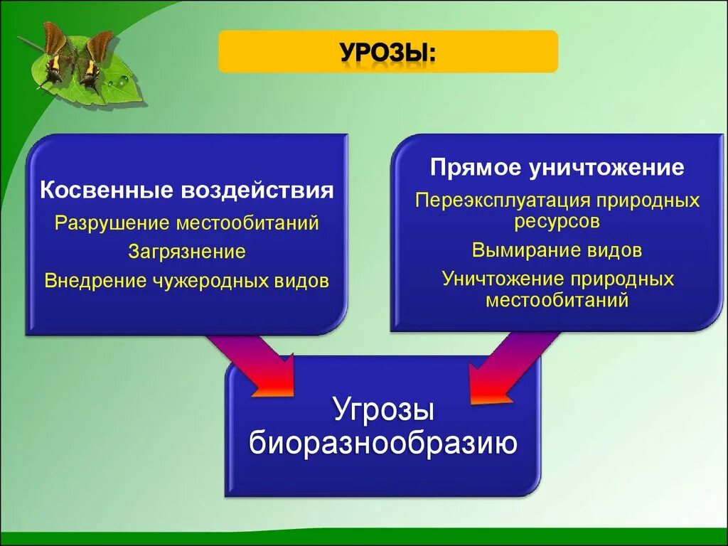 Причины сохранения биоразнообразия. Угрозы биоразнообразию. Снижение биоразнообразия угрозы. Сохранение биоразнообразия. Косвенные угрозы