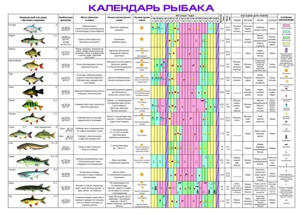 В какое время года ловят. Таблица рыбалки. Таблица для рыбаков. Календарь рыбалки. Календарь рыболова.