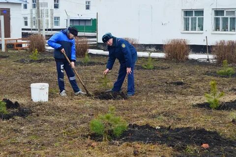 Тамбов садовая