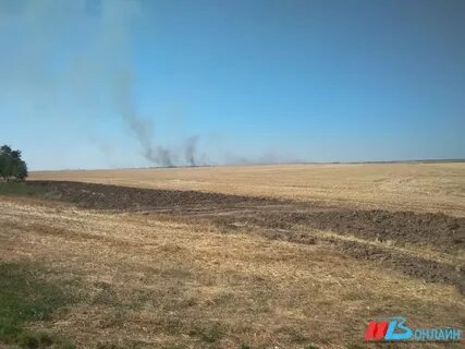 Погода мариновка волгоградская