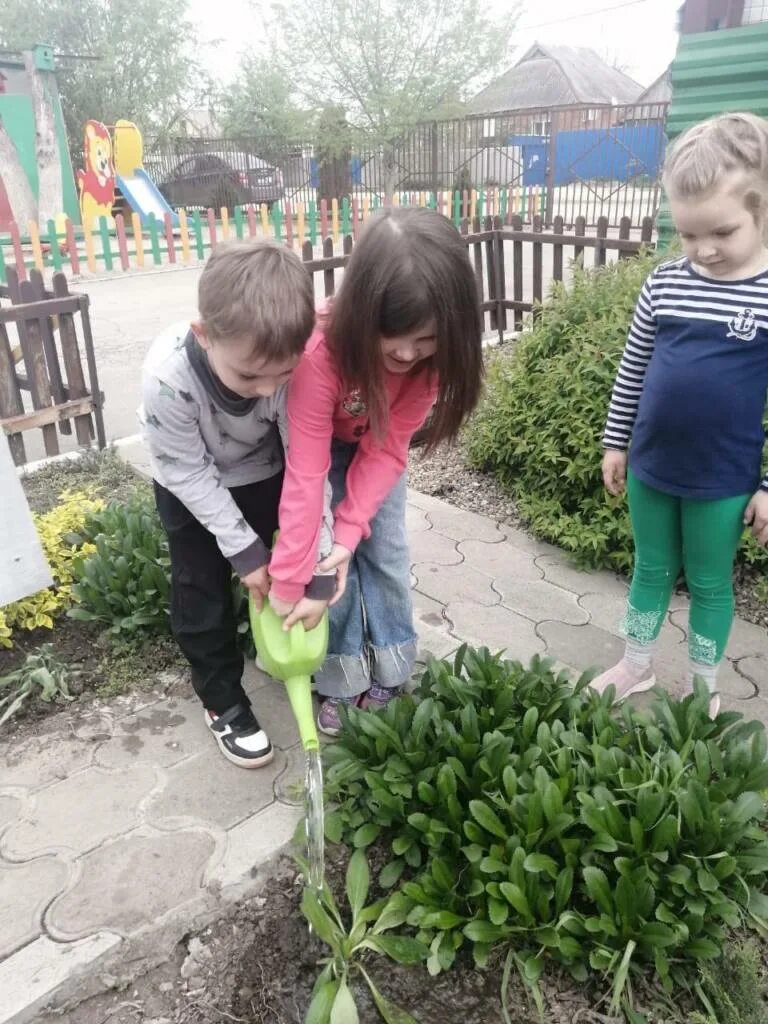 Эколята посадка цветов