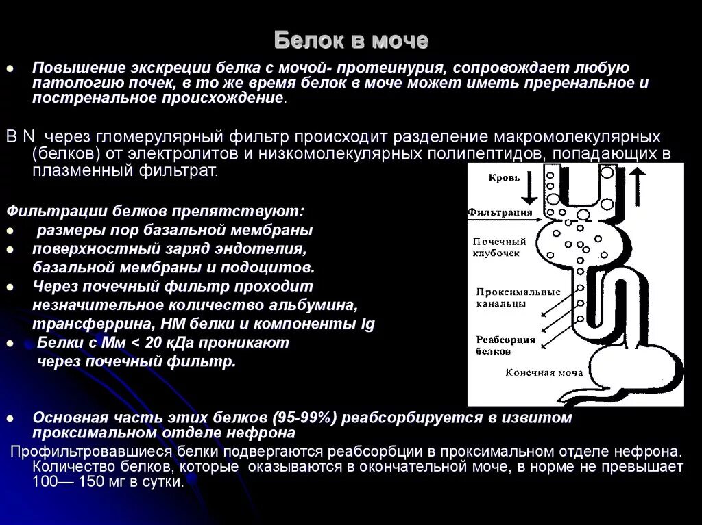 Моча реакция белок