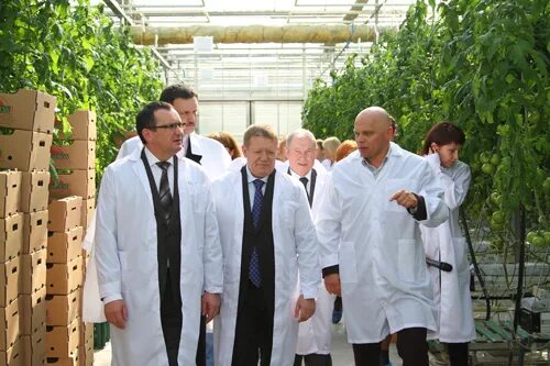 тепличный комбинат «успенский» орел. овощевод тольятти. схоао овощевод тольятти. овощевод тольятти. иванисово агрокомплекс электросталь.