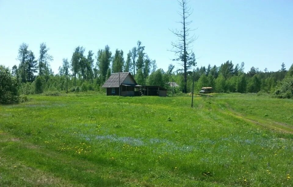 Луговая красноярский край. Деревня Луговая Красноярский край. Поселок почет Красноярский край. Ранчо Золотая подкова Абанский район. База отдыха Абанский район.