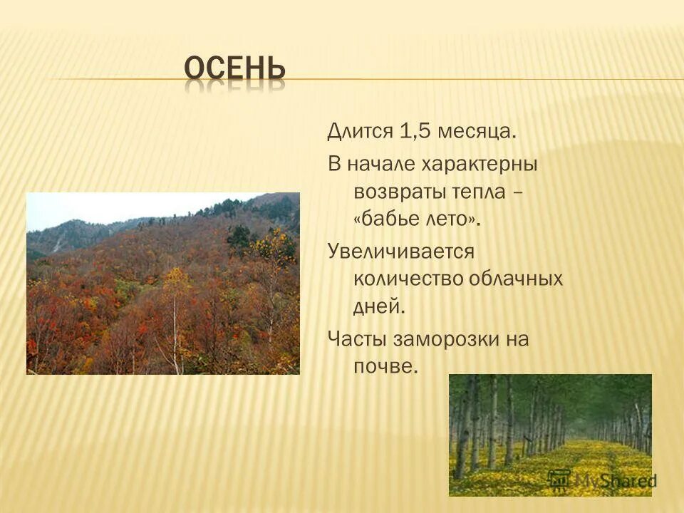 Осень длится день. Осень длится день. Картинки осеннего равноденствия 22 сентября. Осеннее равноденствие в 2023. Тёплого дня осени.