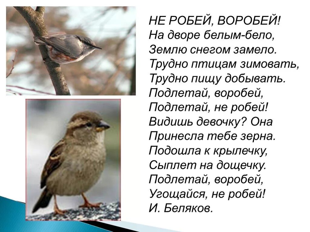 Рассказы ждановны воробушек глава 24. Стих Воробей. Стишки про воробья. Стихи про воробьёв зимой. Не робей Воробей.