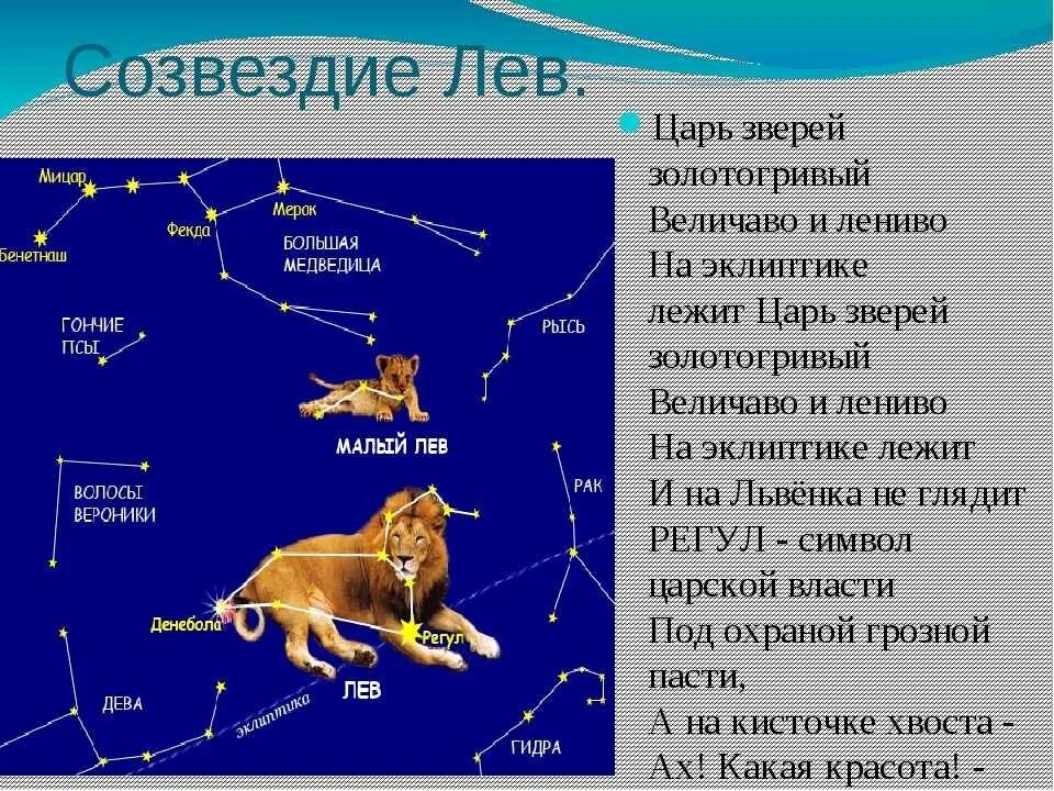 Сказка о созвездиях весеннего неба короткая. Созвездие весеннего неба Лев. Рассказ о созвездии весеннего неба Лев. Рассказ ослзвездиивесеннего неба. Созвездие Льва с названиями звёзд.