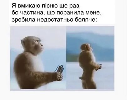 Включи хватаны