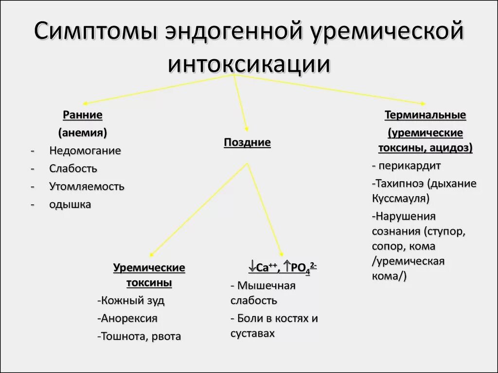 Уремическая кома симптомы. Симптом уремической интоксикации. Симптомы эндогенной интоксикации. Уремическая кома проявления. Эндогенная уремическая интоксикация.