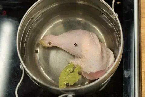 Сколько варить цыпленка