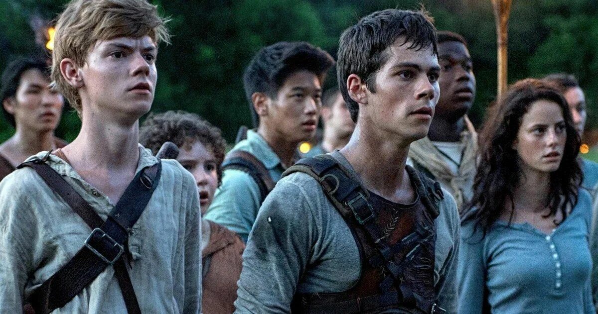 Бегущий в лабиринте 2014 хорошего качества. Бегущий в лабиринте the Maze Runner.