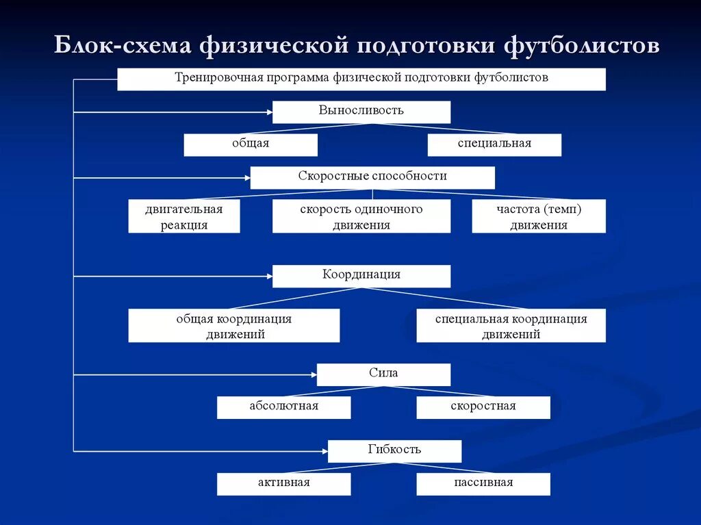 Методика подготовки футболистов. Этапы многолетней подготовки футболистов. Методы физической подготовки в футбол. Методы развития двигательных качеств игроков.