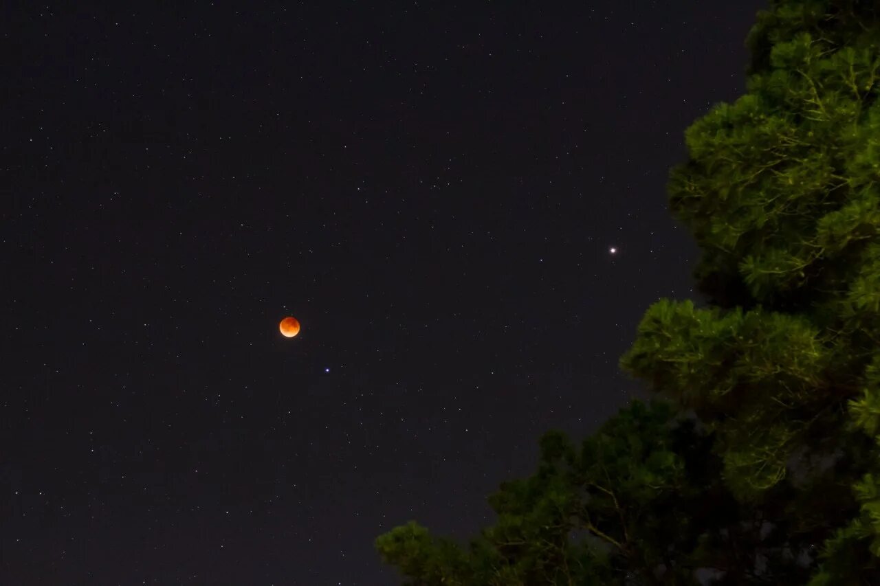 венера планета с земли. марс на небе ночью. венера планета фото с земли. планеты на ночном небе. ночное небо марса.