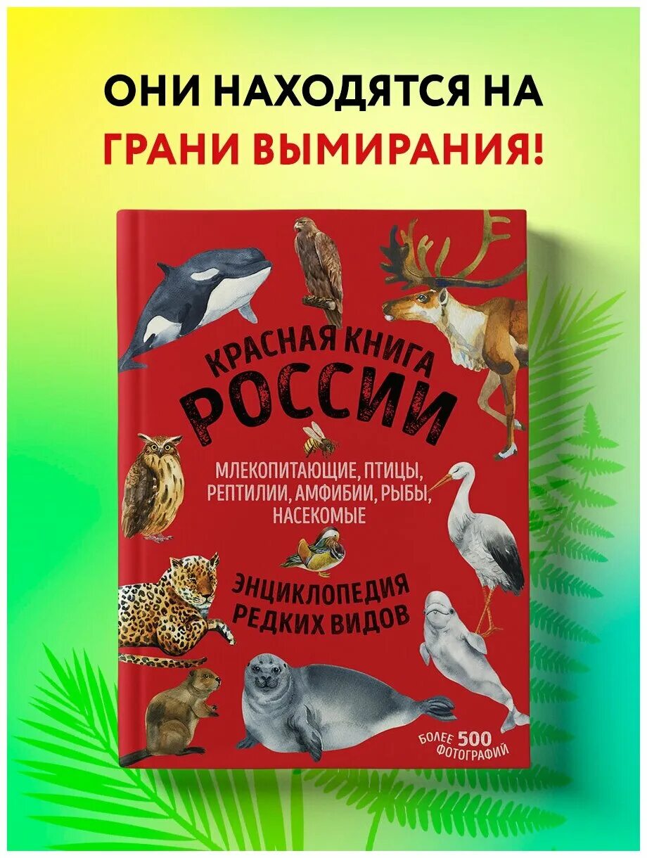 Книга млекопитающие россии