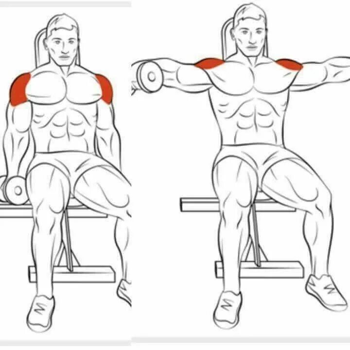 Домашние упражнения на плечи для мужчин. Упражнения на дельтовидные мышцы с гантелями. Упражнения на дельтовидные мышцы в тренажерном зале. Дельты мышцы упражнения. Упражнения для дельтовидных мышц в тренажерном зале для мужчин.