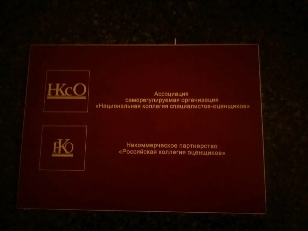 Национальная коллегия специалистов. Национальная коллегия специалистов. Национальная коллегия специалистов. Национальная коллегия флебологов. Логотип оценщика.